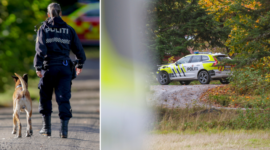 Pappan till misstänkte dubbelmördaren: ”Tragiskt”