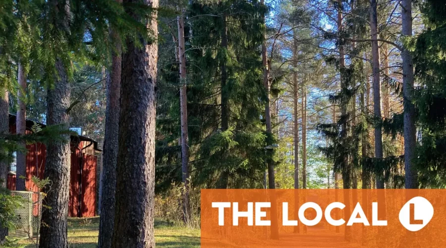 Inside Sweden: Remembering what I love about this country